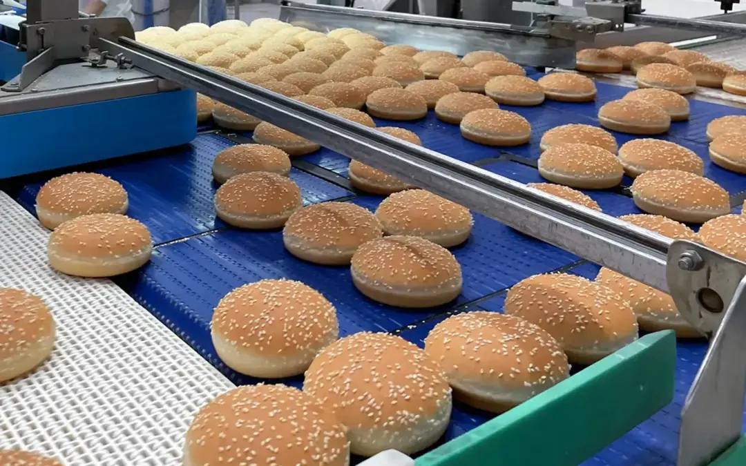 PACKAGING HAMBURGER