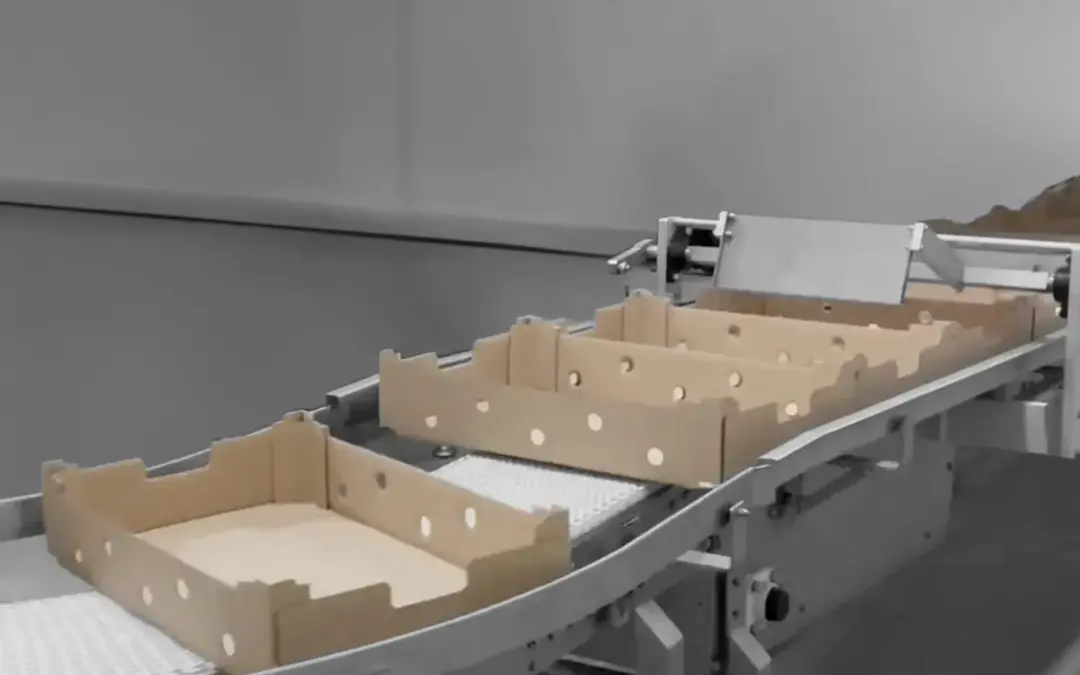 MOVIMENTAZIONE CASSE IN PLASTICA E SCATOLE DI CARTONE